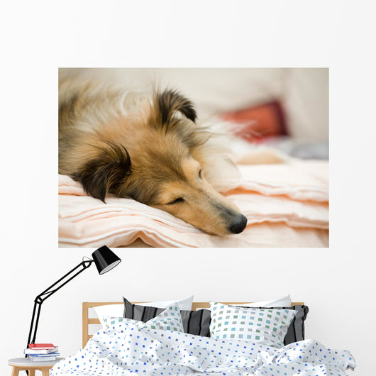 Sheltie Wall Decal
