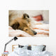 Sheltie Wall Decal