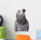 African Grey Congo White Wall Decal