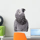 African Grey Congo White Wall Decal