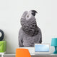 African Grey Congo White Wall Decal