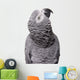 African Grey Congo White Wall Decal