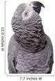 African Grey Congo White Wall Decal