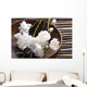 Bowl Cherry Blossoms Bamboo Wall Decal