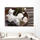 Bowl Cherry Blossoms Bamboo Wall Decal