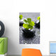 Zen Stones and Clover Wall Decal