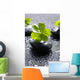 Zen Stones and Clover Wall Decal