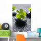 Zen Stones and Clover Wall Decal