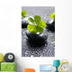 Zen Stones and Clover Wall Decal