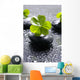 Zen Stones and Clover Wall Decal