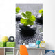 Zen Stones and Clover Wall Decal