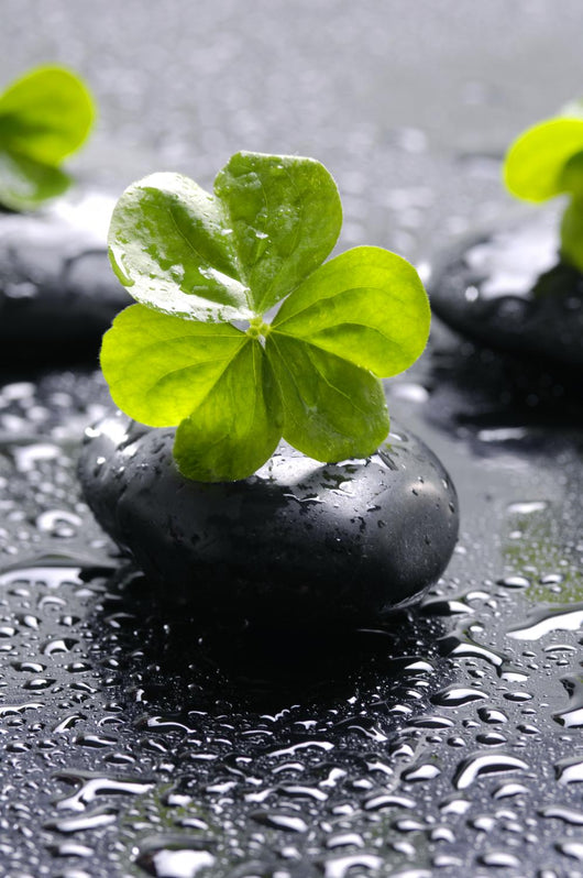 Zen Stones and Clover Wall Decal