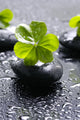 Zen Stones and Clover Wall Decal