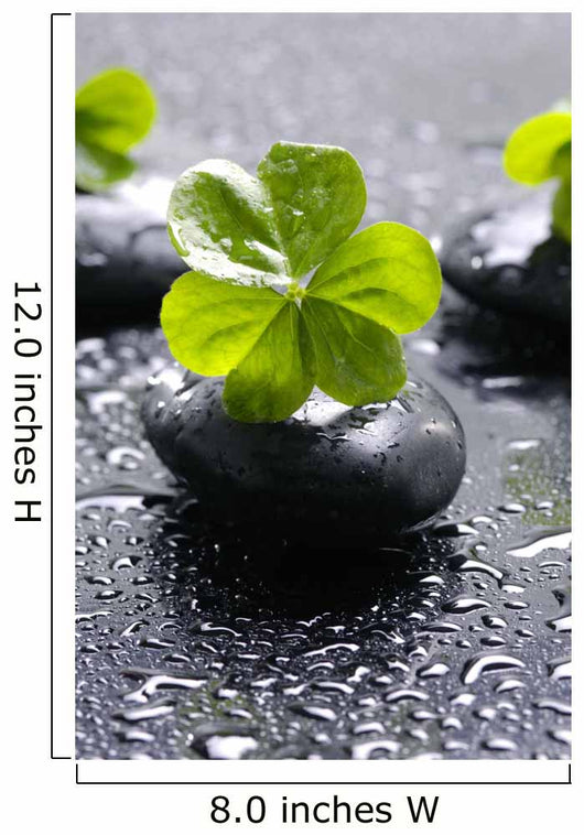 Zen Stones and Clover Wall Decal