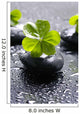 Zen Stones and Clover Wall Decal