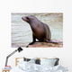 California Sea Lion Wall Decal