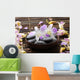 Bowl Orchid with Spa Wall Decal