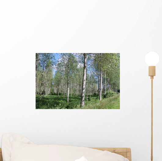 Poplar Wall Decal