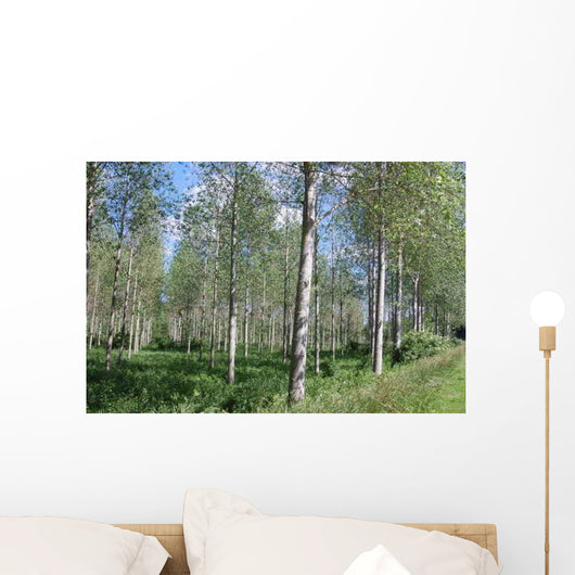 Poplar Wall Decal
