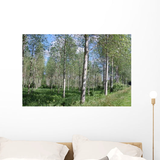 Poplar Wall Decal