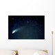 Comet Wall Decal