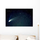 Comet Wall Decal