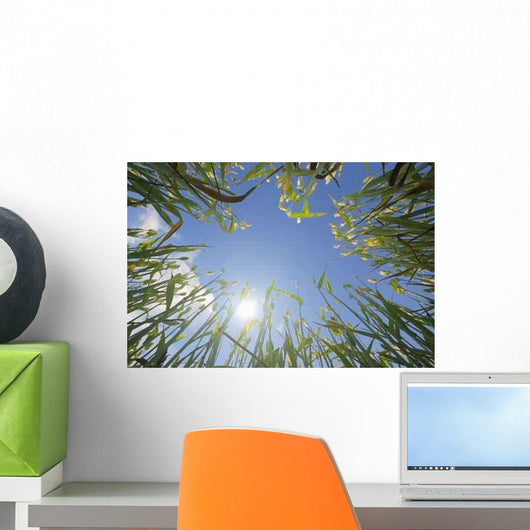 Wheat and Sun Wall Decal