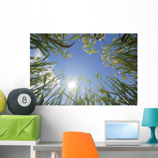 Wheat and Sun Wall Decal