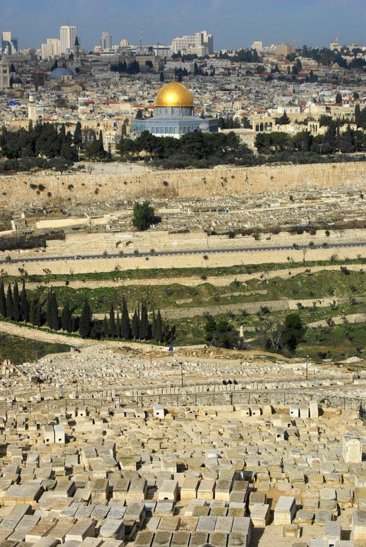 Mount Olives Wall Decal