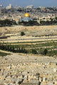 Mount Olives Wall Decal
