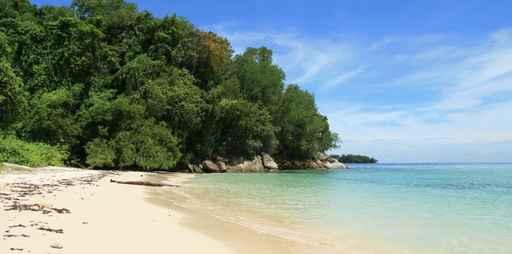 Borneo Beach Wall Decal