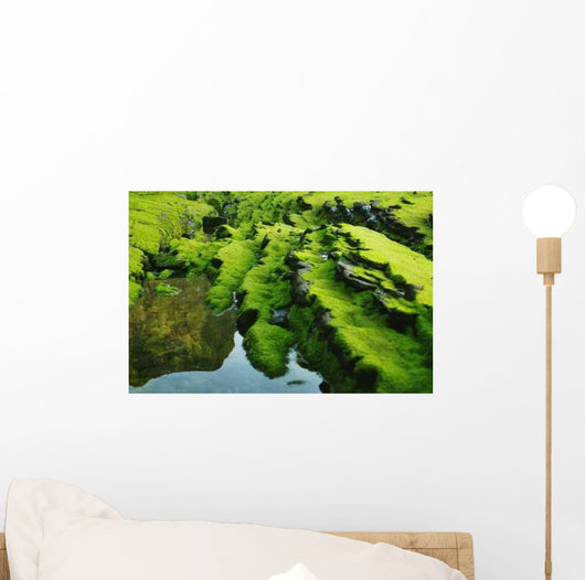 Moss Wall Decal