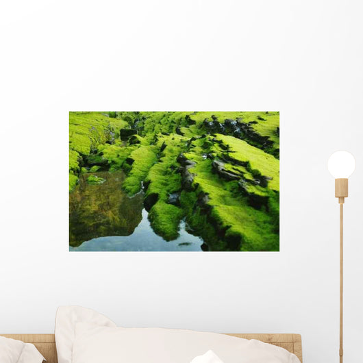 Moss Wall Decal