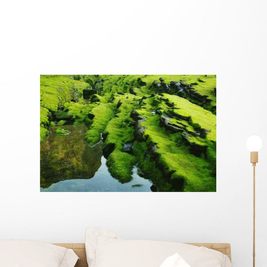 Moss Wall Decal