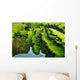 Moss Wall Decal