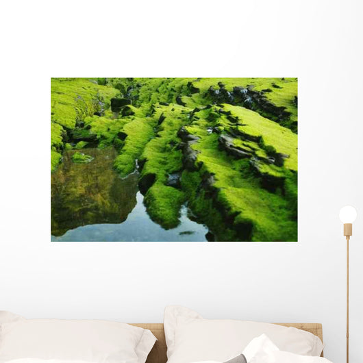 Moss Wall Decal