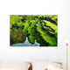 Moss Wall Decal