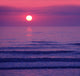 Beautiful Pink Sunset or Wall Decal