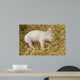 Piglet Wall Decal