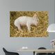 Piglet Wall Decal