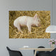 Piglet Wall Decal