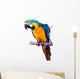 Parrot - Macaw Wall Decal