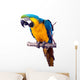 Parrot - Macaw Wall Decal