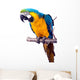 Parrot - Macaw Wall Decal