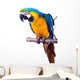 Parrot - Macaw Wall Decal