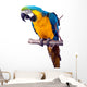 Parrot - Macaw Wall Decal