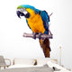 Parrot - Macaw Wall Decal