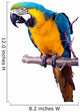 Parrot - Macaw Wall Decal