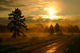 Morning Wall Decal