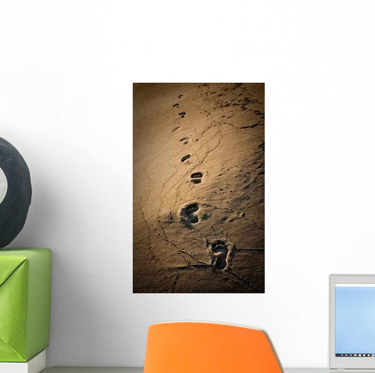 Footprints Wall Decal